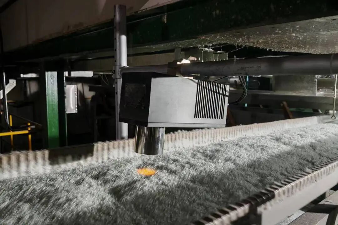 cqltmm.company continues its glory, and the review of the specialized, refined, and new "Littl