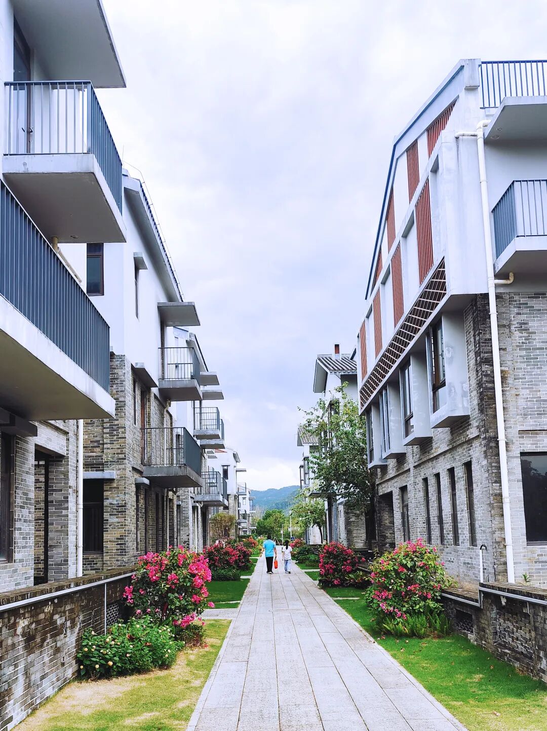 UED官网举办“珍爱地球，你我同行，绿色低碳，守护海洋” 主题活动