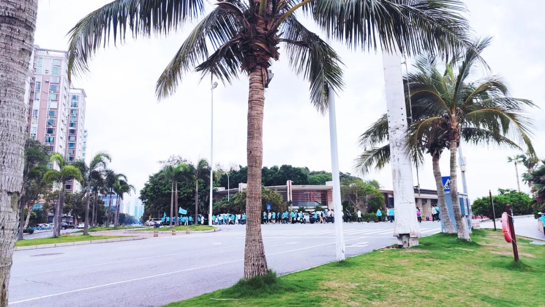 UED官网举办“珍爱地球，你我同行，绿色低碳，守护海洋” 主题活动