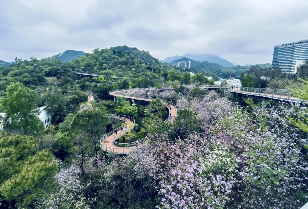 寻芳觅趣正当时，不负春光踏歌行