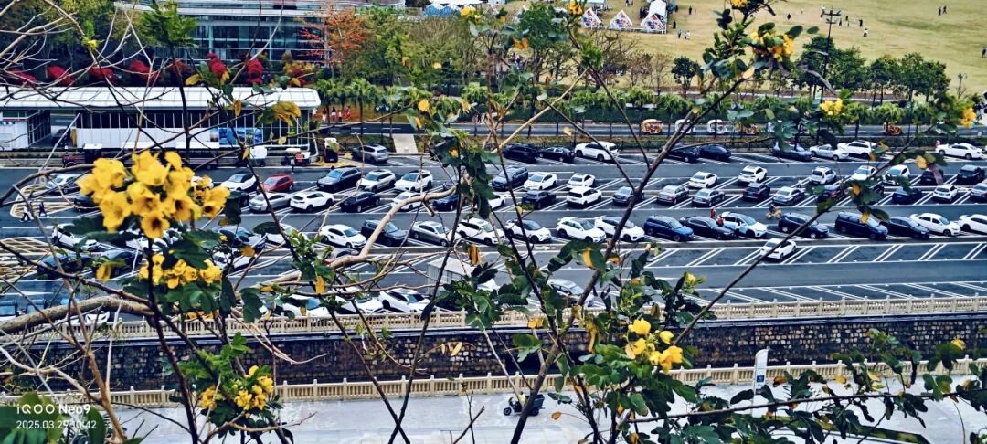 寻芳觅趣正当时，不负春光踏歌行