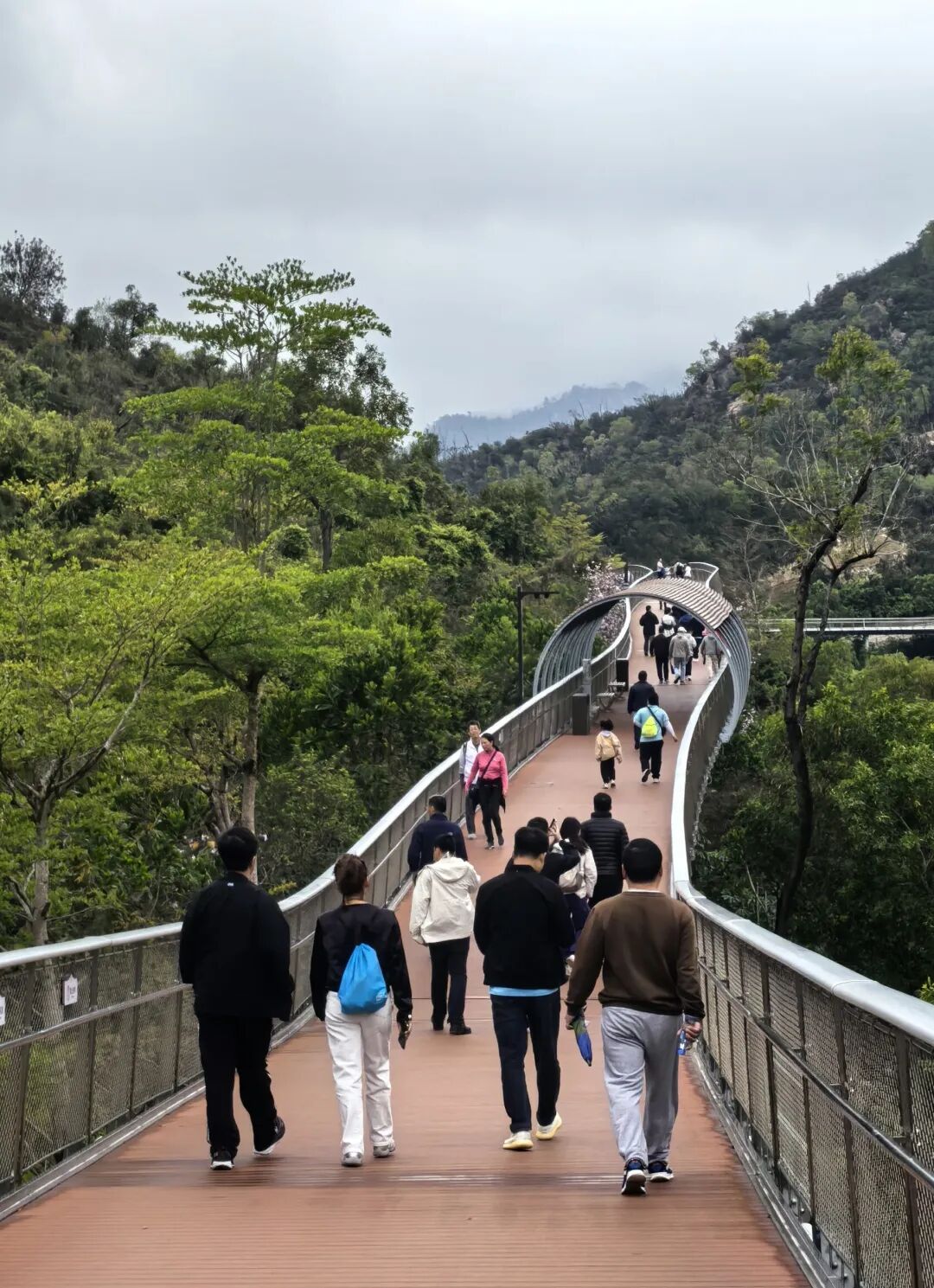 寻芳觅趣正当时，不负春光踏歌行