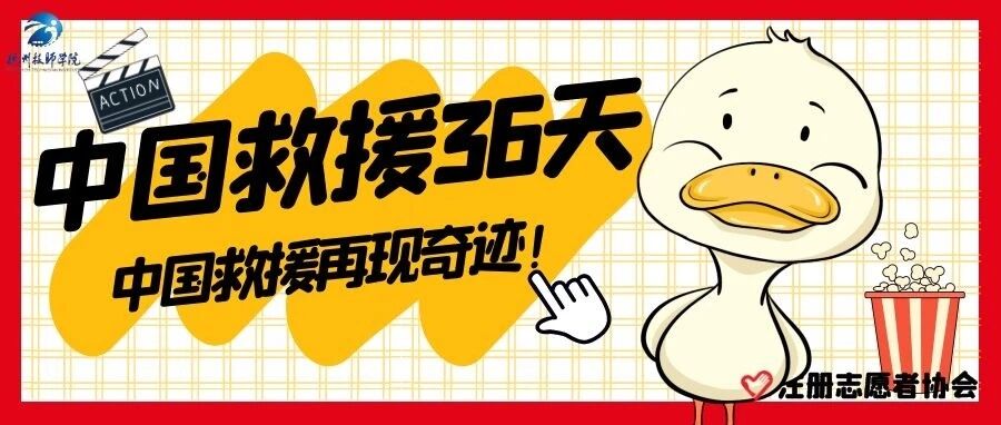 【周末影院】中国救援队再现生存奇迹—《中国救援36天》