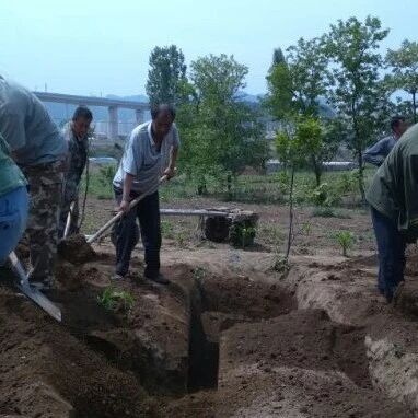 八字秘断阴阳宅口诀