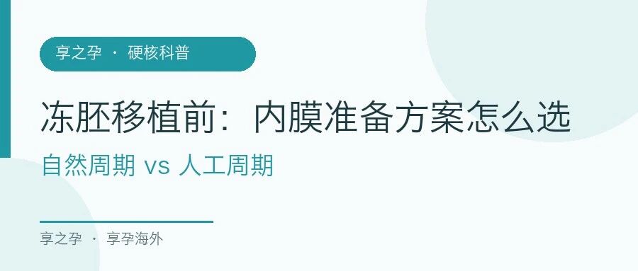 内膜准备封面