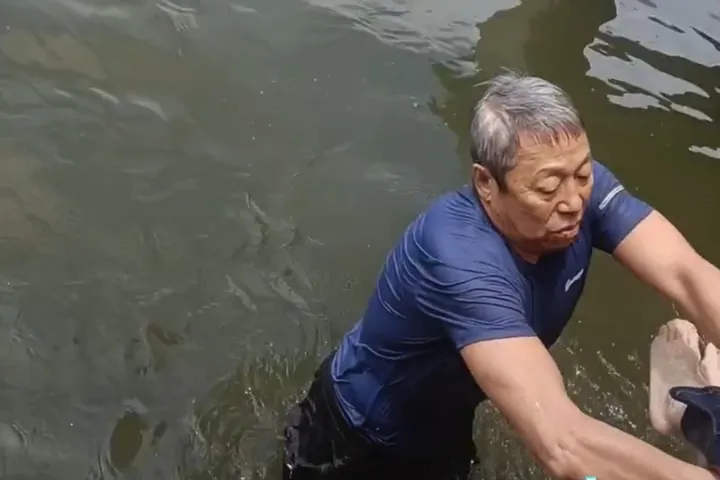圖片