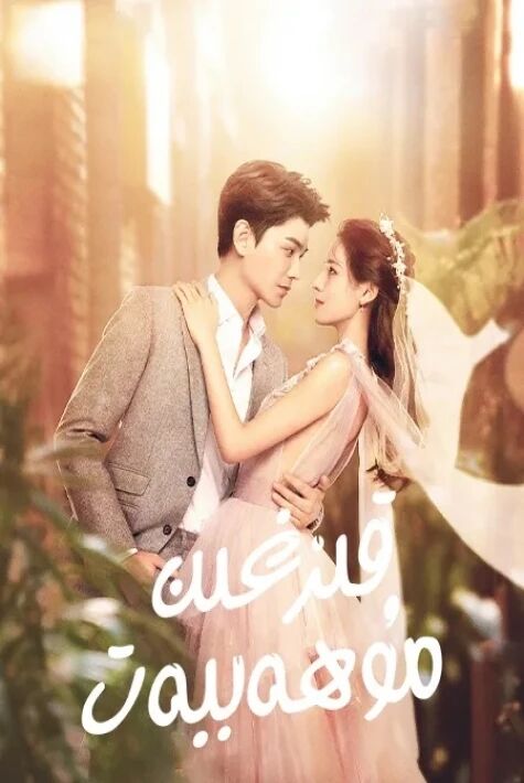 قىزغىن مۇھەببەت توپلام 