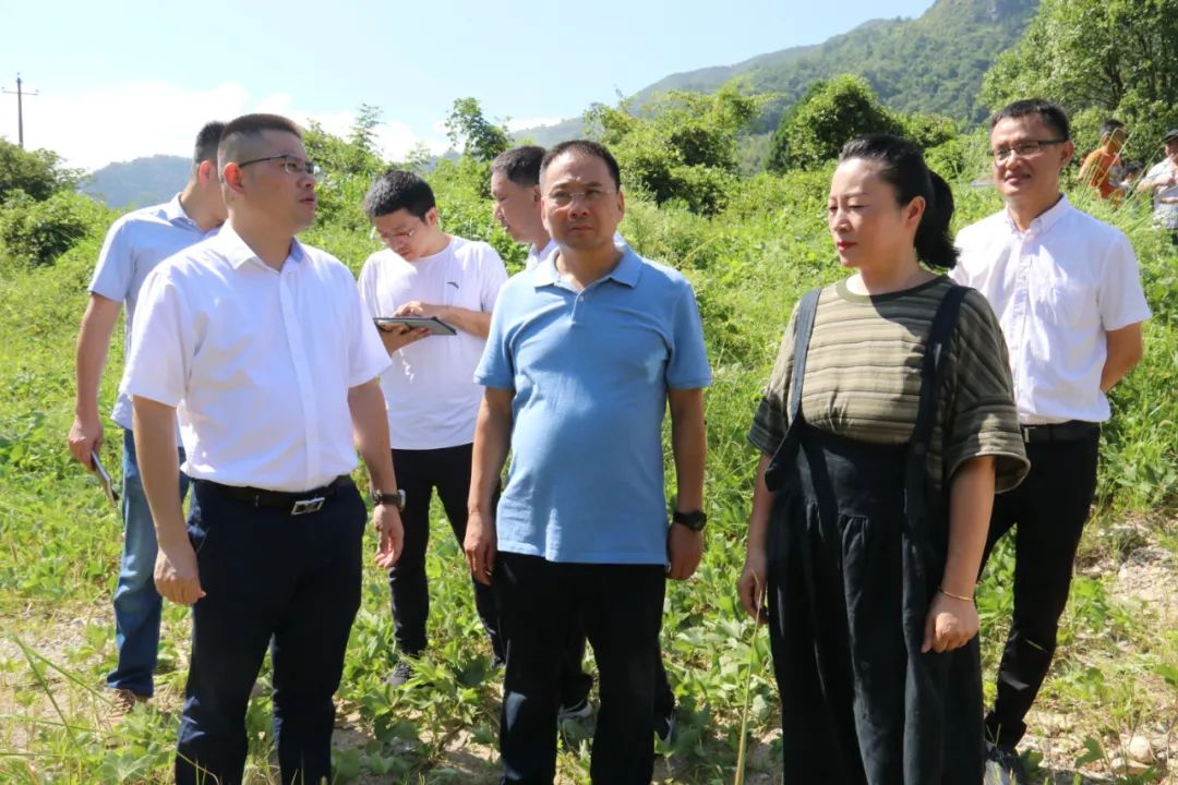 县委常委,镇党委书记童森军,镇专职委员叶建锋,镇人大副主席郑重