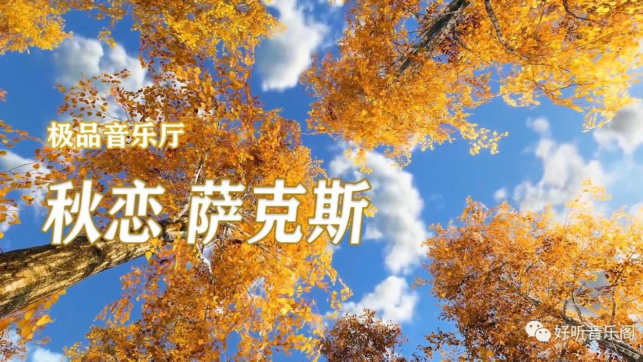 收录于合集⭐萨克斯《秋恋》忽有故人心上过，回首山河已是秋！