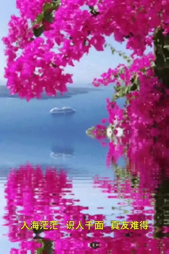 这才是真朋友！（说得真好）