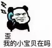 歪 我的小宝贝在吗_TNA教皇熊猫头斗图表情包图片-我爱斗图网