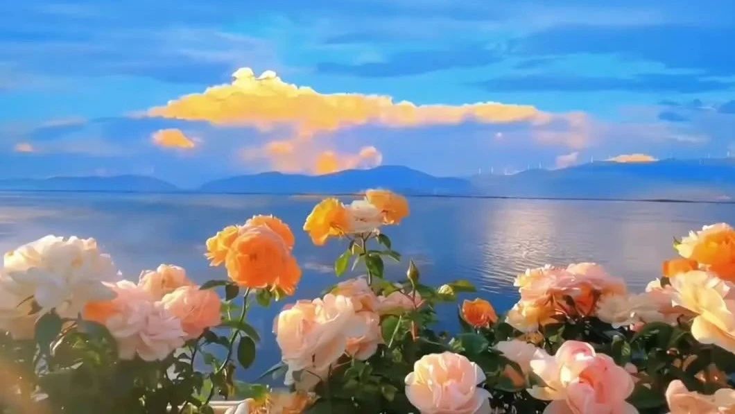 收录于合集⭐早安！音乐《友谊天长地久》