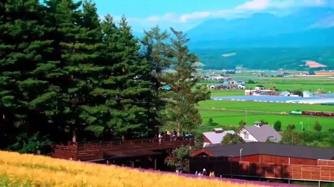 不用打字就可以聊天的图片【上】