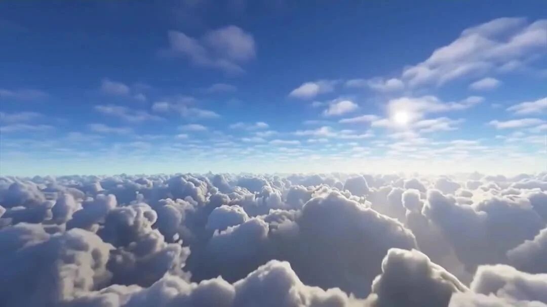 8月第一天，问候安康！