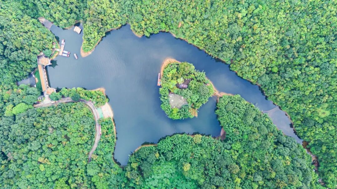 DJI_20260630161533_0078_D.jpg