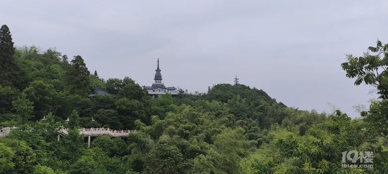 天下径山，带娃到径山寺庙抄经，沉心静气，找寻神话故事里的仙佛