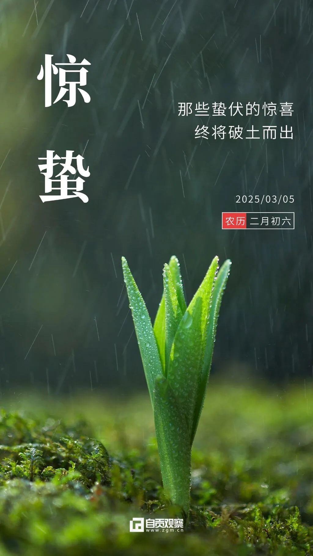 惊蛰节气祝福手机海报 (1).jpg