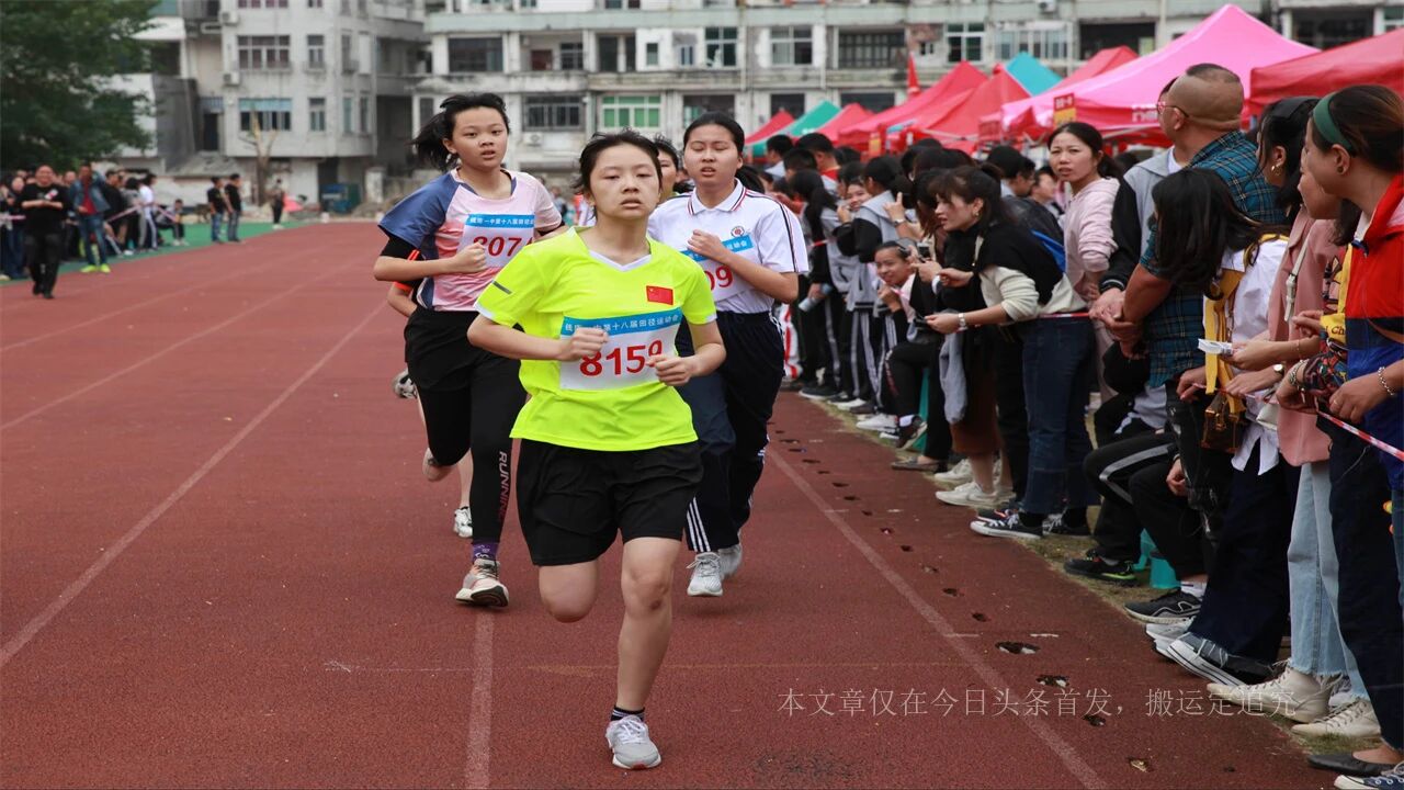 刘美含《浪姐》回归,网友热议:这才是真正的翻红!