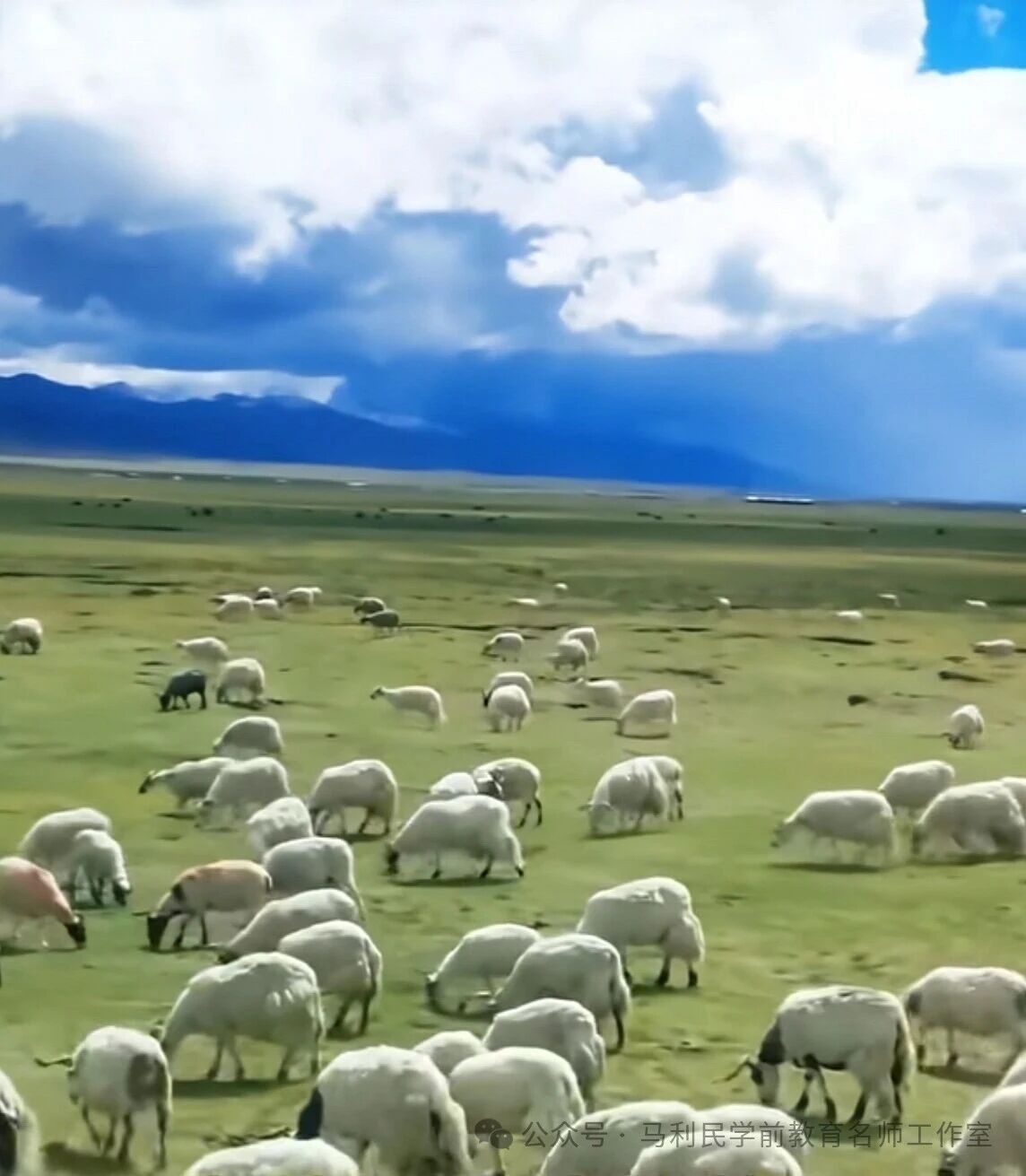 朱永新:没有家庭教育的基础教育便无路可走-幼师课件网第2张图片