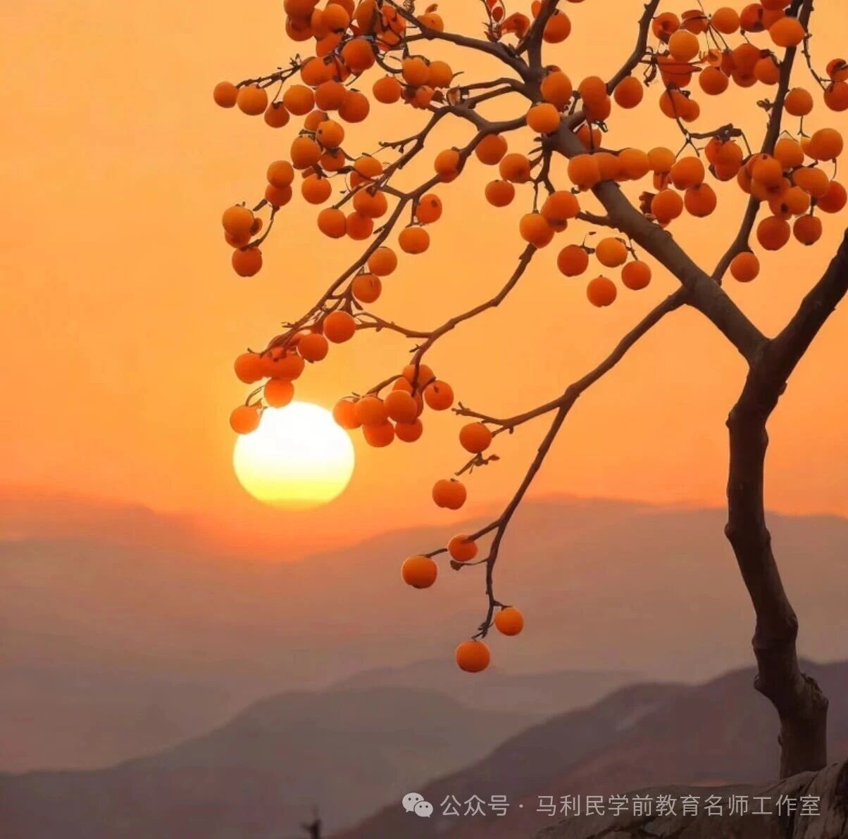 70、80错位人生-幼师课件网第2张图片