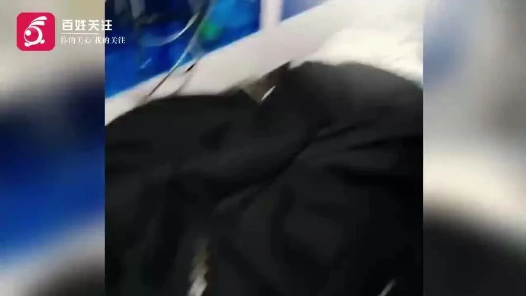 初一学生打球遭同学袭击致脑出血,打篮球发生争执，少年遭同学袭击！脑出血量达80%，右..