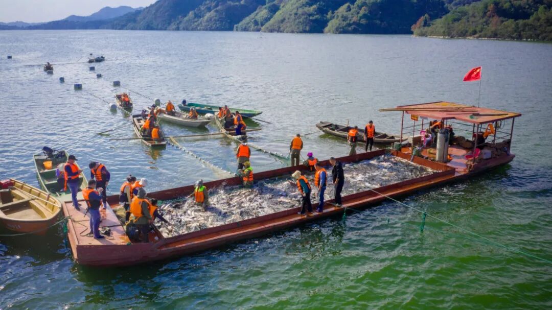 农发水产捕鱼现场.jpg