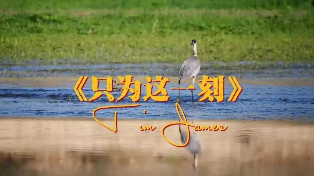 收录于合集⭐这一刻的美好只属于自己