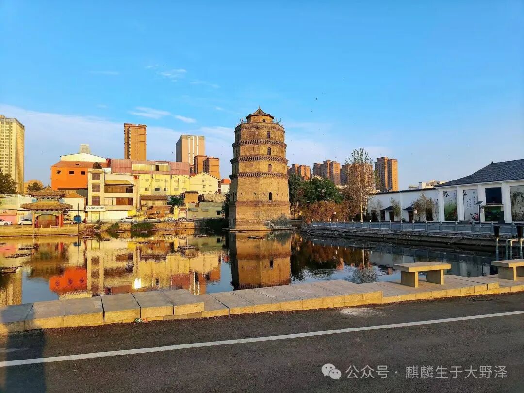 崔丽丽夫妇维权近2年基本停工,崔丽丽案，为何成为女性维权里程碑？
