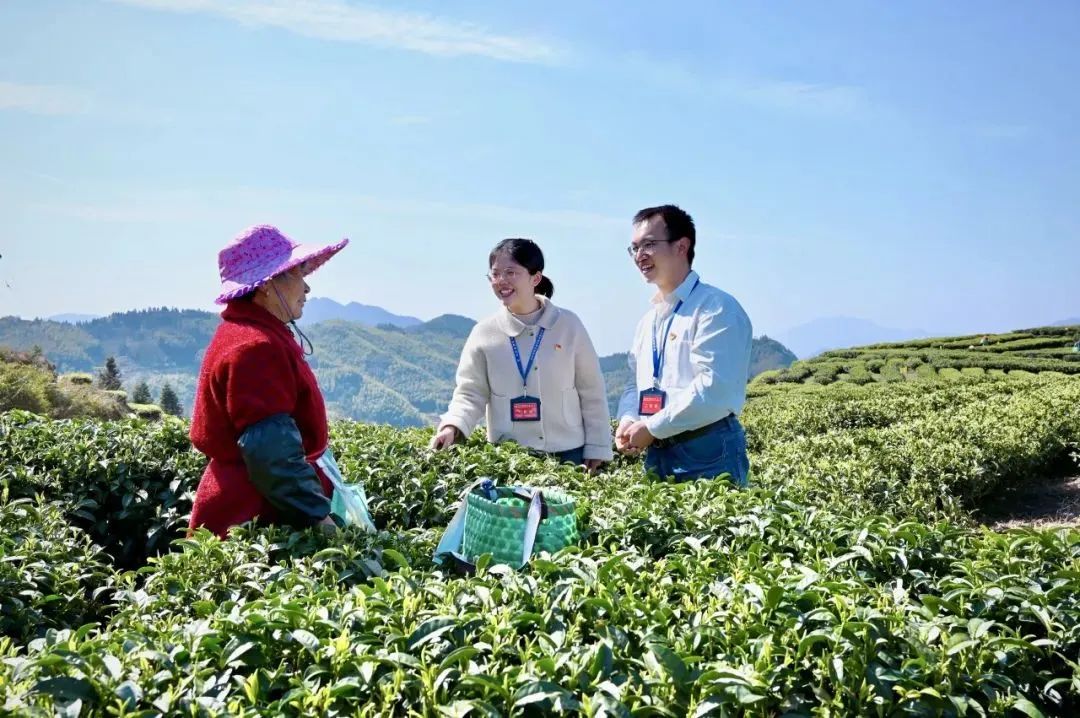 聚焦全会 | 宁德：锚定政治生态美目标 坚韧执着纵深推进正风肃纪反腐