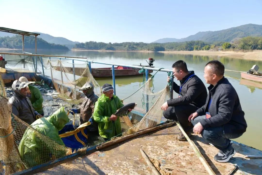 大篇幅报道！福建三明加强大数据平台建设应用 数字赋能提升监督质效