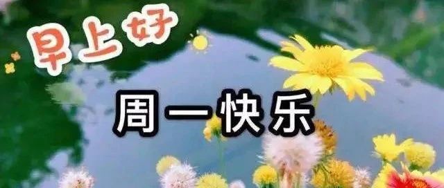 周一问候语简短一句话 周一早安问候的句子
