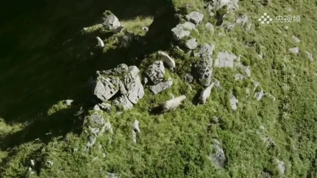 航拍中国 第1季