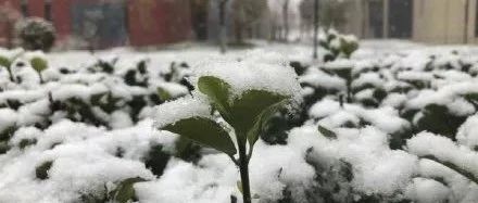 天气 | 天津今冬初雪来啦！！！哪儿会下得最大？什么时候停？