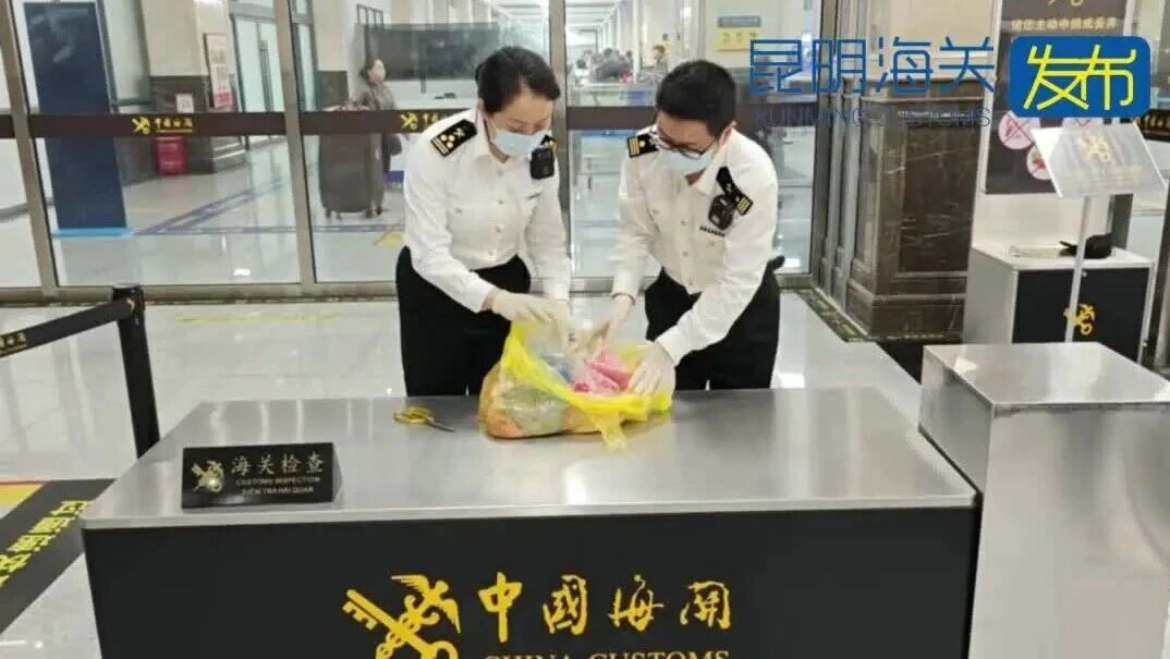 绑猪内脏入境被查,河口海关查获人身夹藏动物内脏9.23千克
