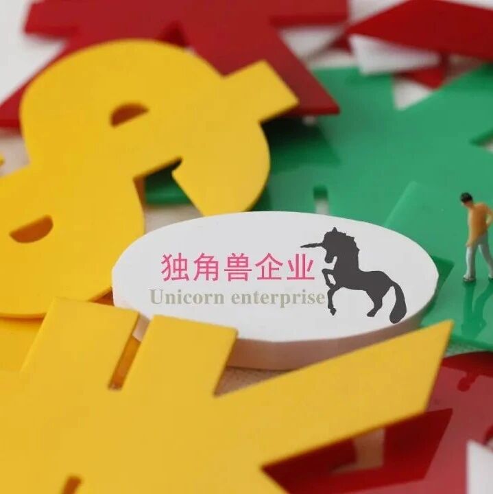 第六屆萬物生長大會·中國未來獨角獸大會:2022中國未來獨角獸TOP100圖片