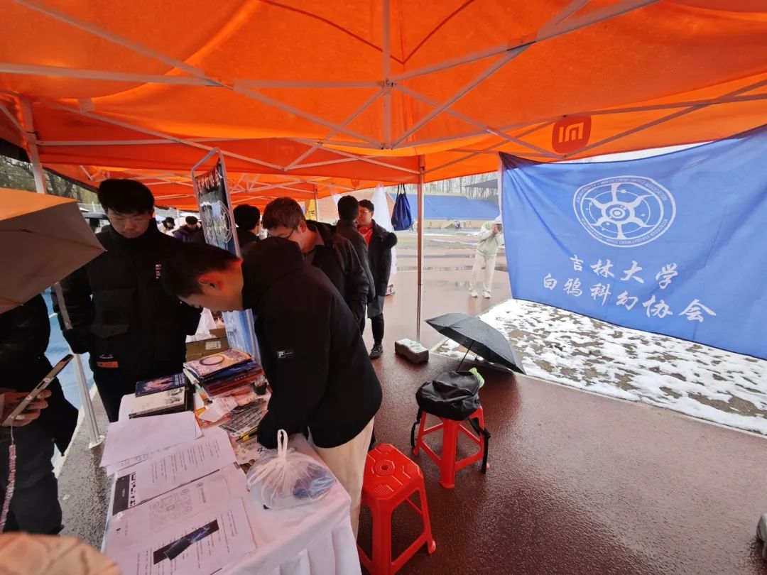 3吉林白鸦.jpg