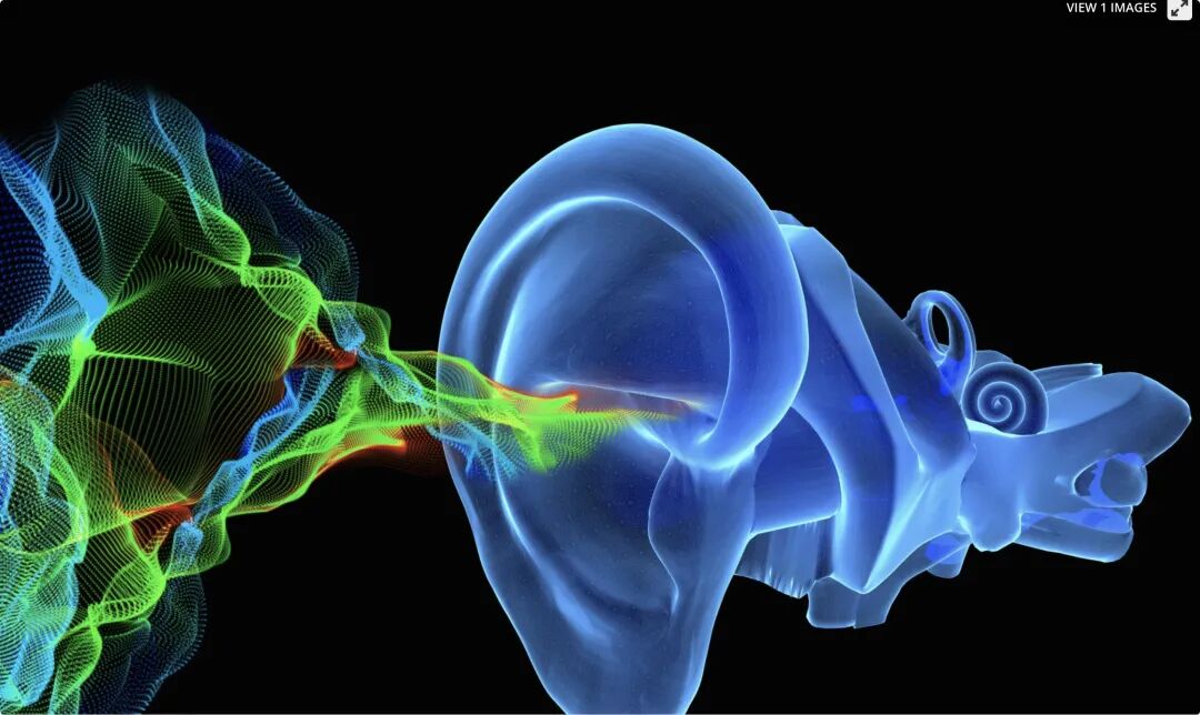 内耳精细结构（原子水平）的探索给听力损失的治疗带来曙光_张华_主任医师_爱问健康