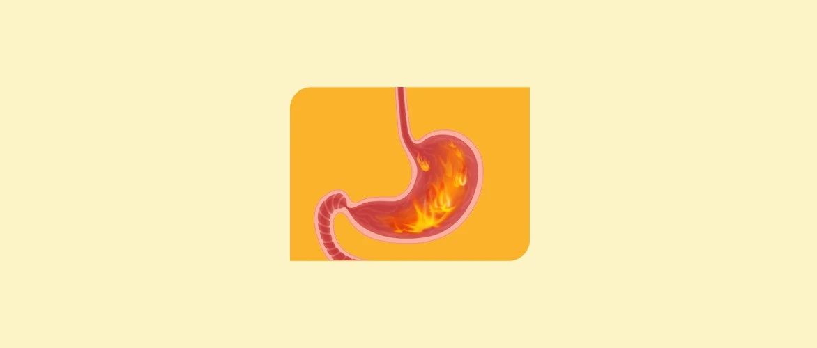 胃里没东西，胃酸会开始消化胃壁，是真的吗？