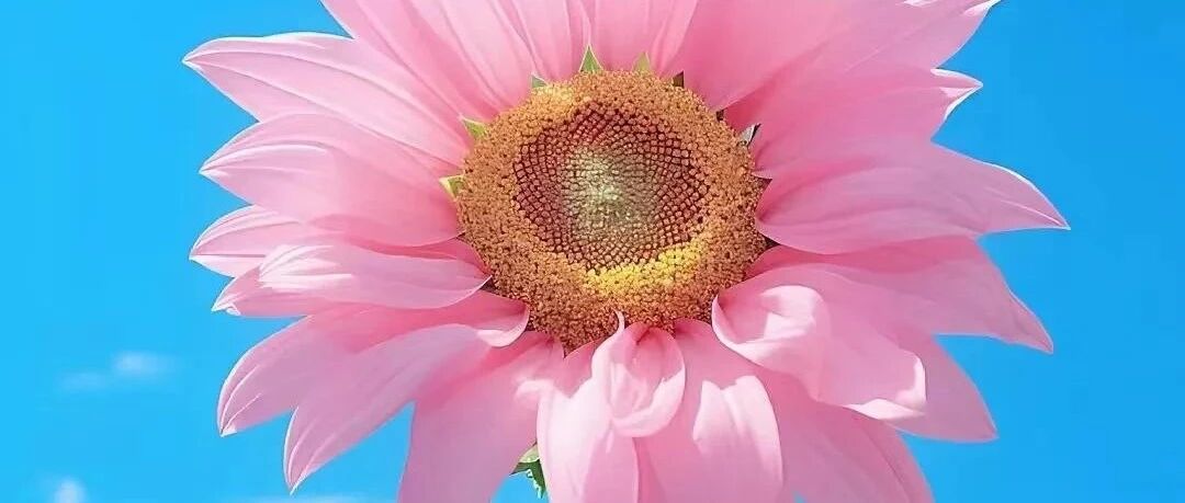 莫让悲哀笼罩心头，要让喜乐缀满天空！