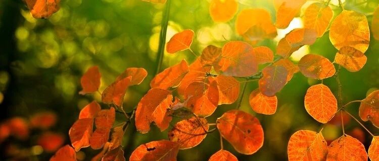 安心做自己，生命属于你！