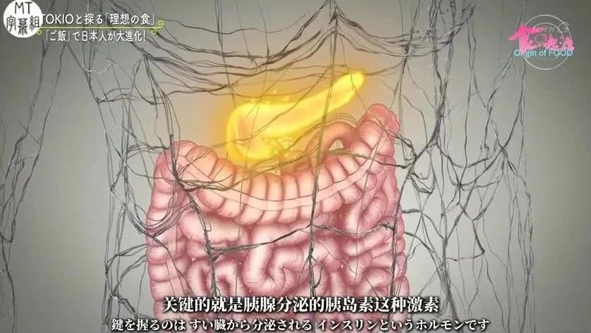 米饭怎么吃有害你的健康？纪录片《米饭》揭秘