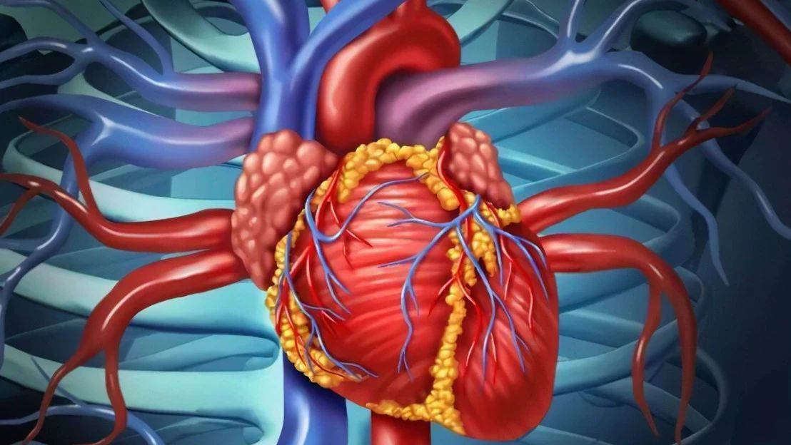 《黄帝内经》抗衰老奥秘：只要养好它，人人都可活到天年