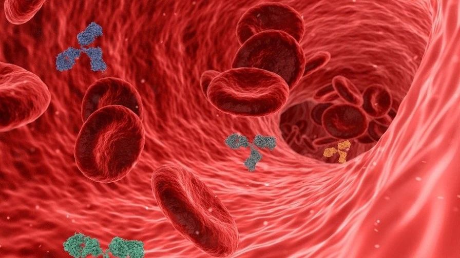 NHK纪录片《幽灵血管》，揭秘人体血管老化的真相