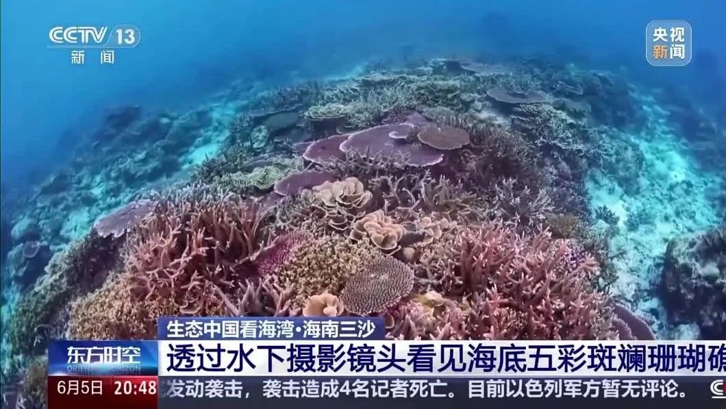 9图看海洋治理的中国方案