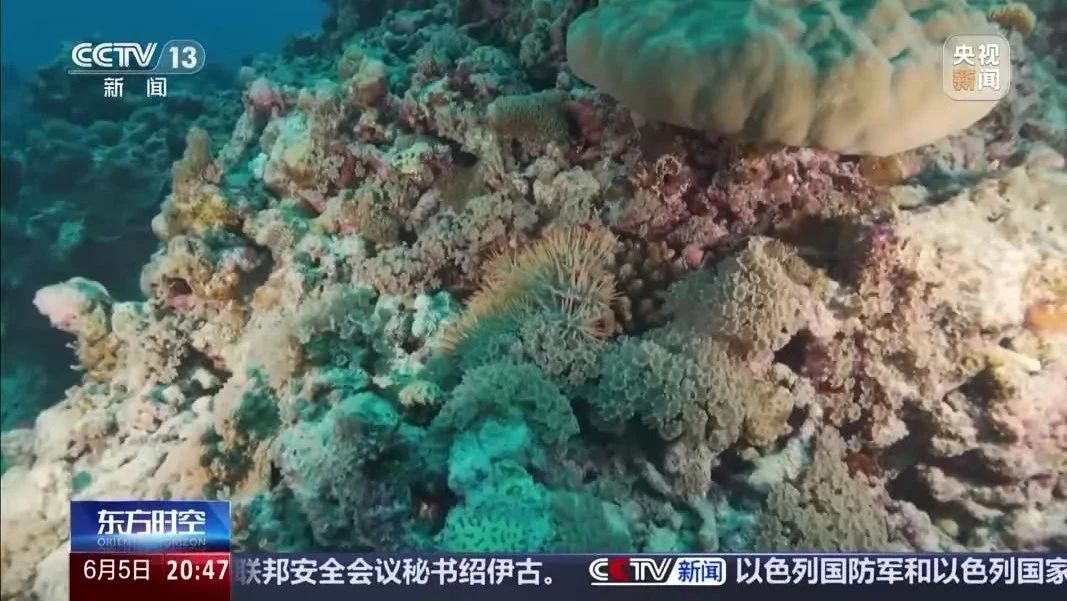 9图看海洋治理的中国方案