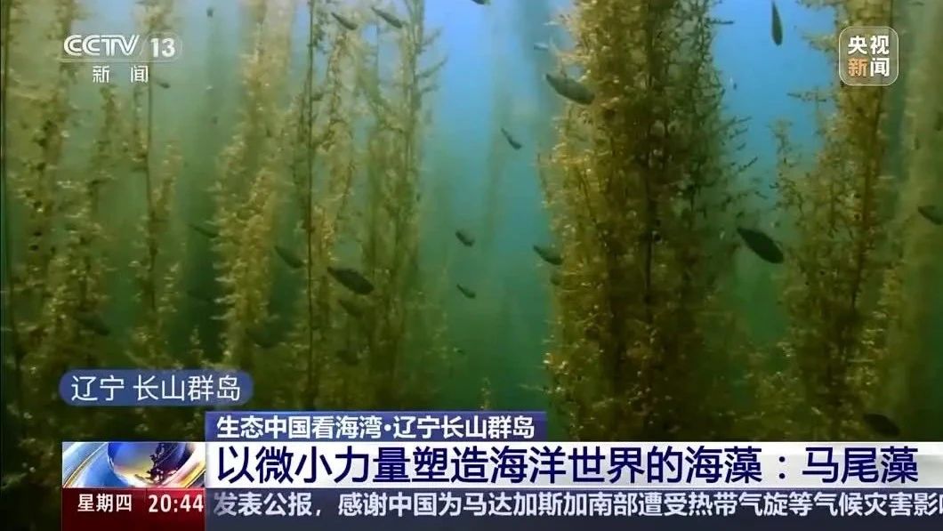 9图看海洋治理的中国方案