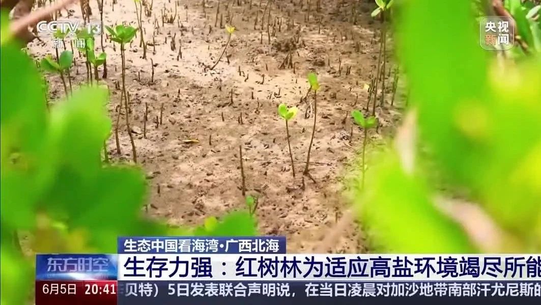 9图看海洋治理的中国方案