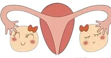 试管取卵术后，如何科学恢复卵巢？