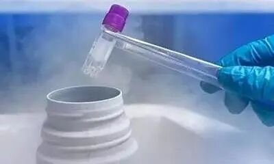 冻胚移植的流程怎么做？一篇讲清四大环节与关键节点