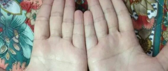 断掌看事业情感